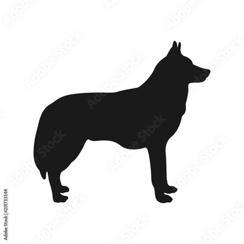 dog silhouette Husky. Vector