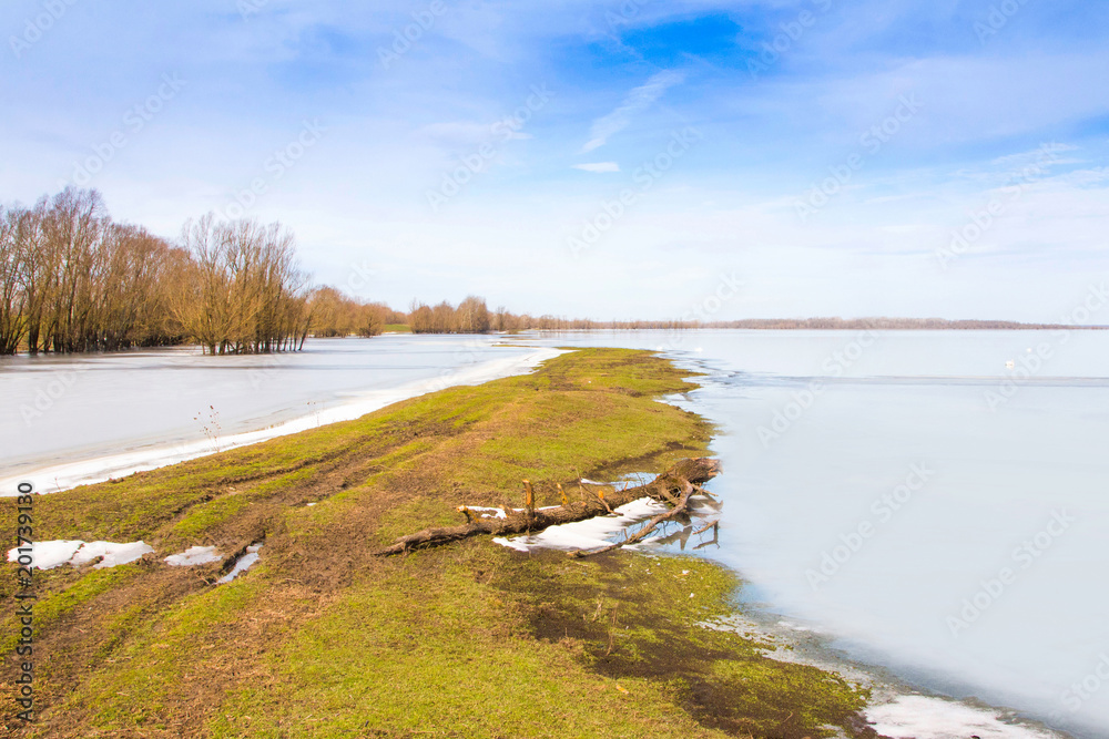     Beautiful winter landscape in countryside, lake in nature park Lonjsko polje, Croatia 