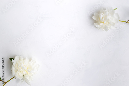 White peonies on a light background