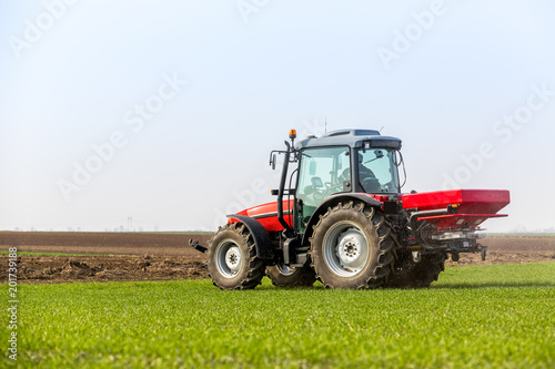 Farmer in tractor fertilizing wheat field at spring with npk