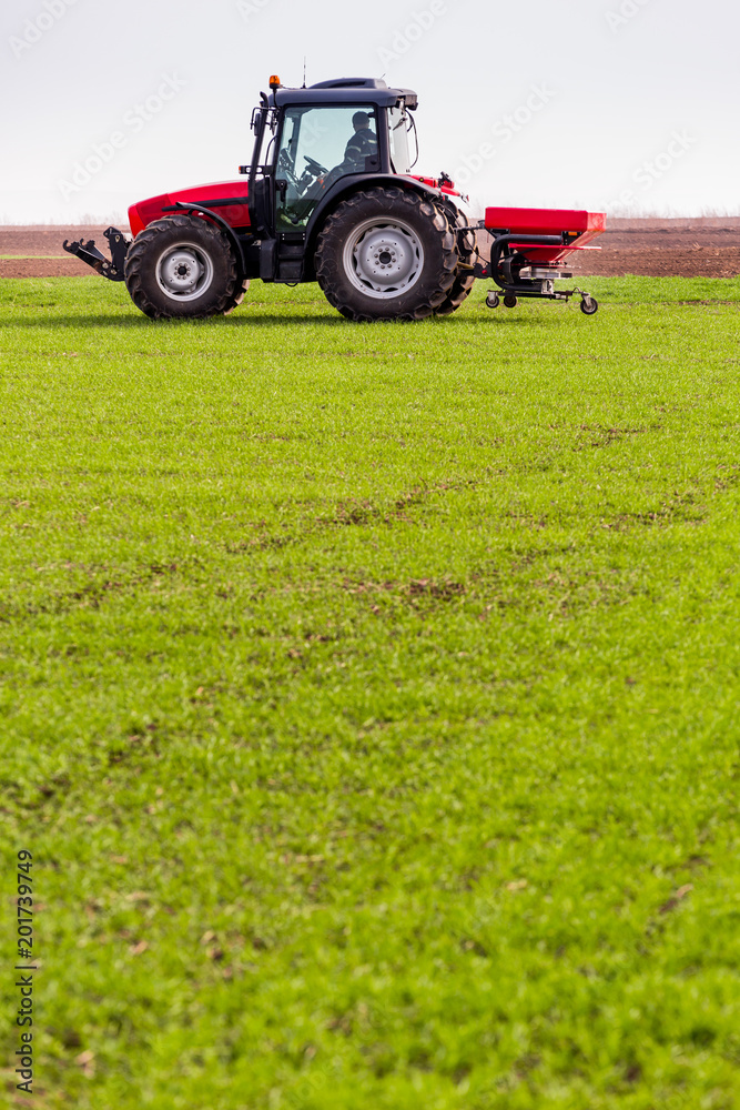 Farmer in tractor fertilizing wheat field at spring with npk