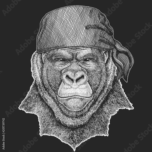 Gorilla, monkey, ape Cool pirate, seaman, seawolf, sailor, biker animal for tattoo, t-shirt, emblem, badge, logo, patch. Image with motorcycle bandana