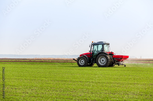 Farmer in tractor fertilizing wheat field at spring with npk