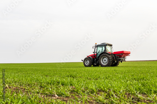 Farmer in tractor fertilizing wheat field at spring with npk