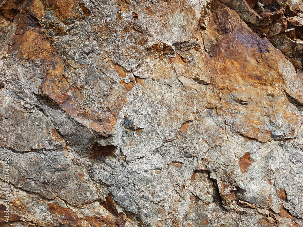 Roccia Roccia