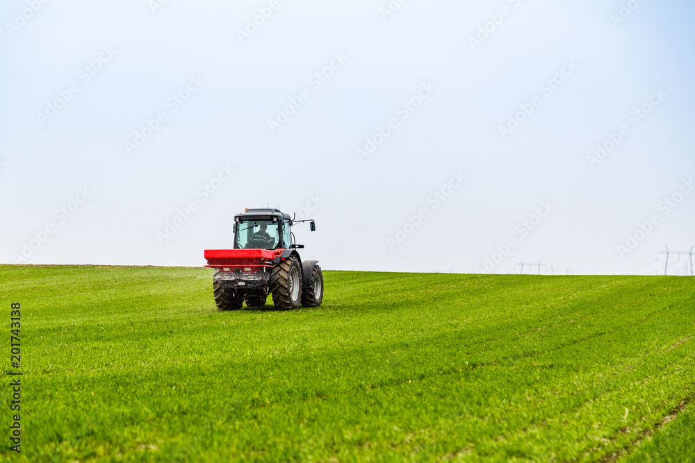 Farmer in tractor fertilizing wheat field at spring with npk