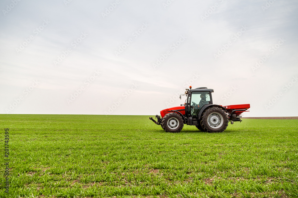 Farmer in tractor fertilizing wheat field at spring with npk Farmer in tractor fertilizing wheat field at spring with npk