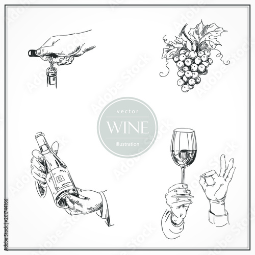 Set of sketches of hands with glass and bottle of wine, sommelier. Vector illustration isolated on white
