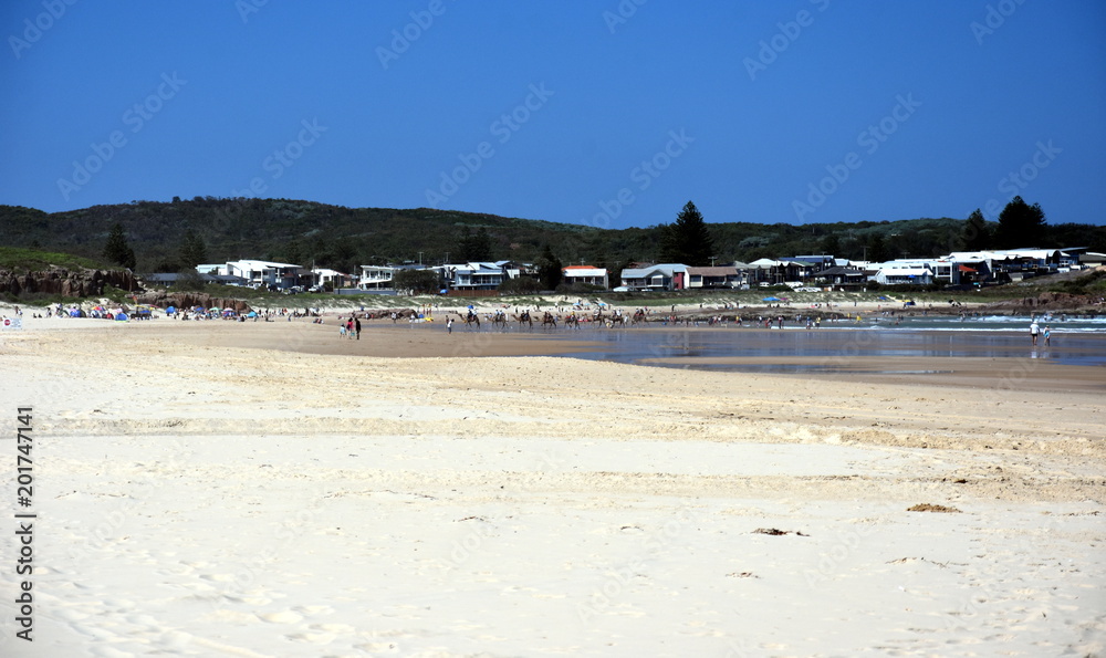 Tourist riding camel on Birubi beach (NSW, Australia). With soft, silky sand at the beaches, the environment is perfect for camel riding.