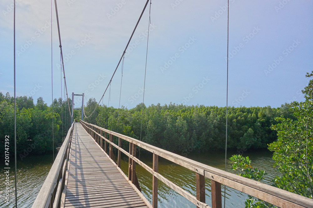 Obraz premium Suspension bridge used for walking for tourism.