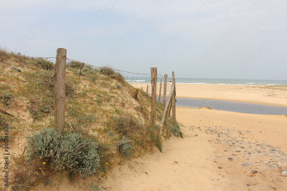 Vue océan plage des Landes Moliets embouchure du courant d'Huchet avec barrière protection de la dune