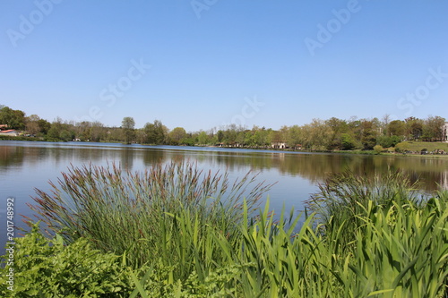 Paysage au bord du lac et végétation ciel bleu temps ensoleillé