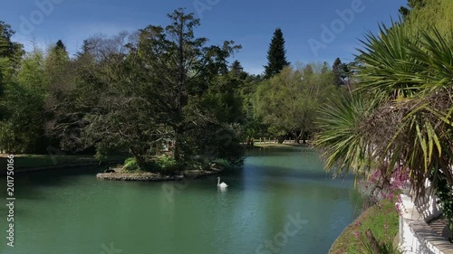 Fantastic park with a beautiful pond and little island in the middle. Lovely swan swimming alone in water. Green park, hot weather. photo