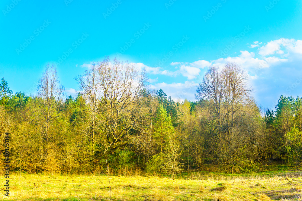 Fototapeta premium Spring landscape in Europe