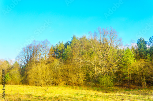 Spring landscape in Europe