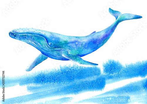 Big Blue Whale and wave .Watercolor hand drawn illustration.Underwater animal art. White background.