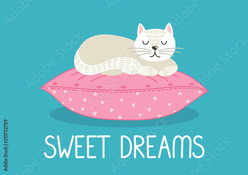 Sweet Dreams. White cat sleeping on pink pillow on teal background. Cute vector illustration.