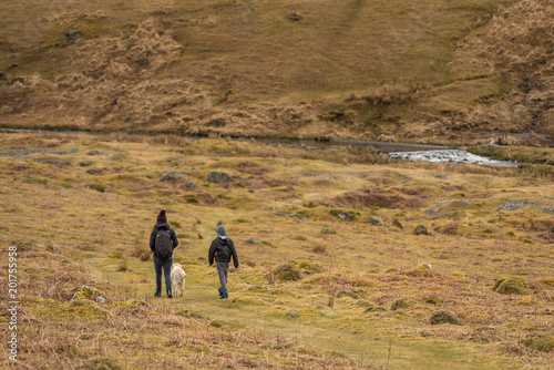 Dartmoor Family Walk