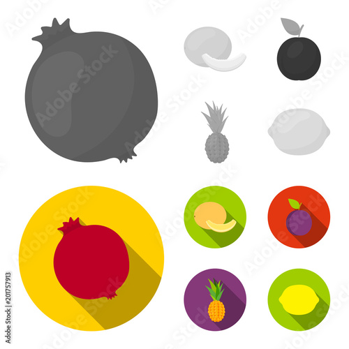 Melon, plum, pineapple, lemon.Fruits set collection icons in monochrome,flat style vector symbol stock illustration web. photo