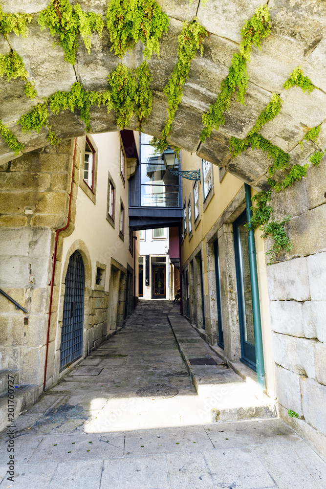 Narrow alley of cobblestones with a stone tunnel with herbs at the beginning and facades of old houses, solitary and without shops, in Porto (Portugal)