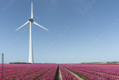 Wind turbine spinning and generating green carbone footprint free electricity under a sunny blue sky at Almere near Amsterdam, Netherlands