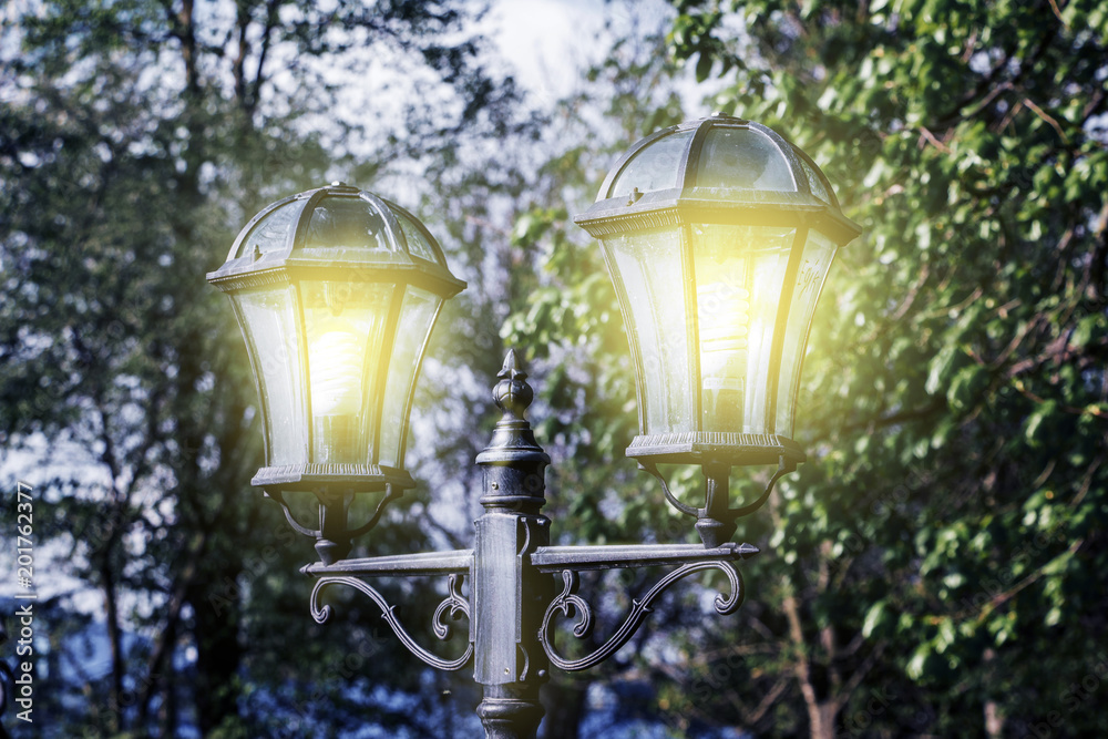 Luminous night lamp in  city park_
