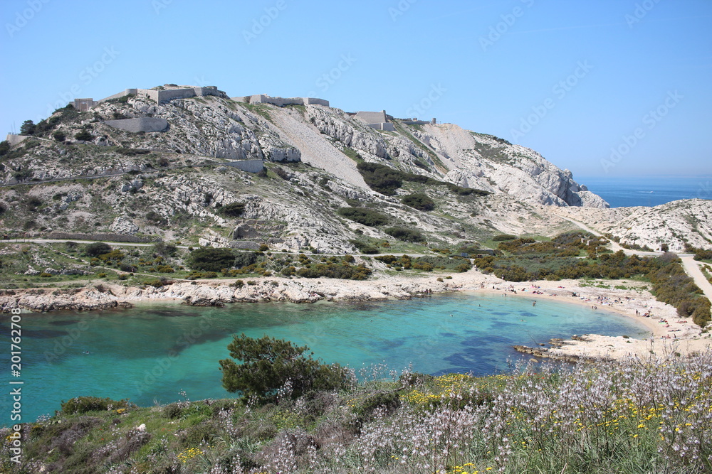 Calanques des îles du frioul à Marseille en provence