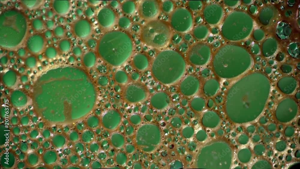 Rippling Organic Oil Droplets
Rippling Organic Oil Droplets