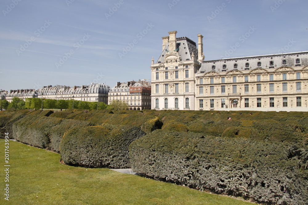 Pelouse du Jardin des Tuileries à Paris	