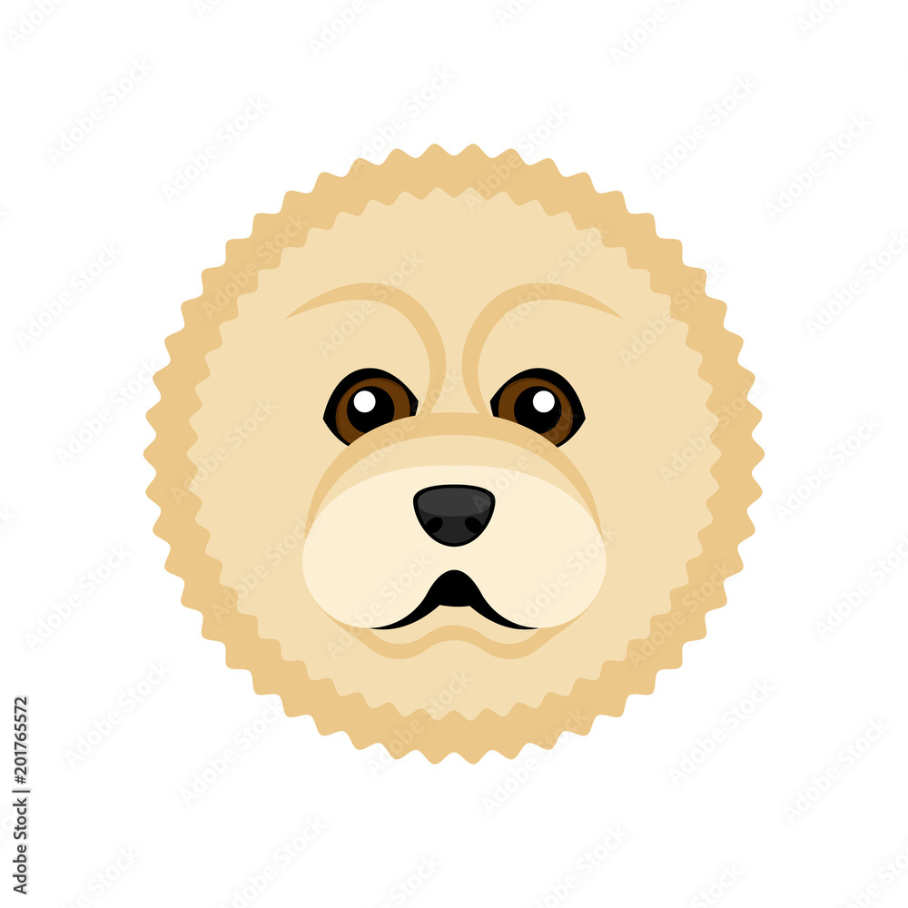 Cute chow chow dog avatar