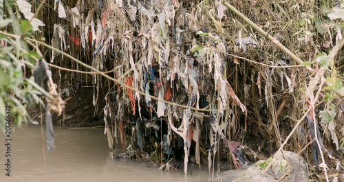 Plastic trash wrapped around plants next to a river photo