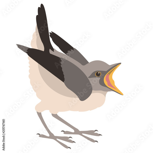 nestling vector illustration flat style profile side