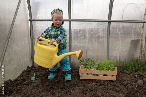 Happy child in plaid jacket and hat, dig the ground with blue shovel in greenhouse. Help the mother in planting green peppers, tomatoes in soil. Fresh green young seedlings, yellow watering can