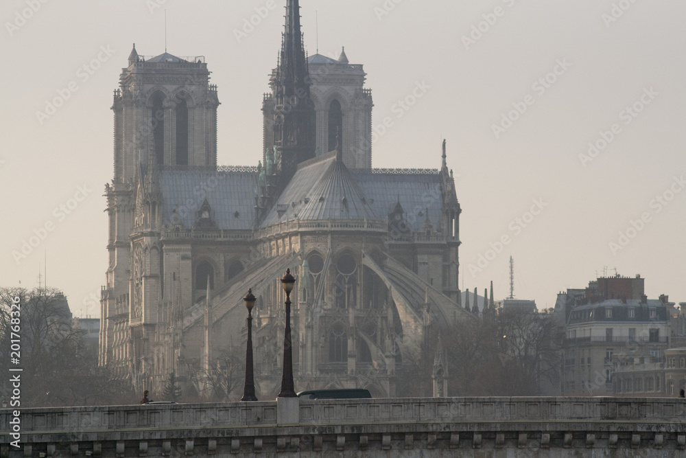 Naklejka premium Paris, France, katedra Notre Dame