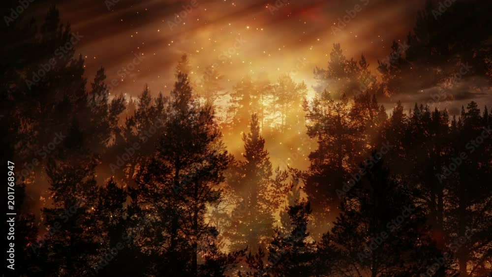 Evening sky and forest silhouette loop