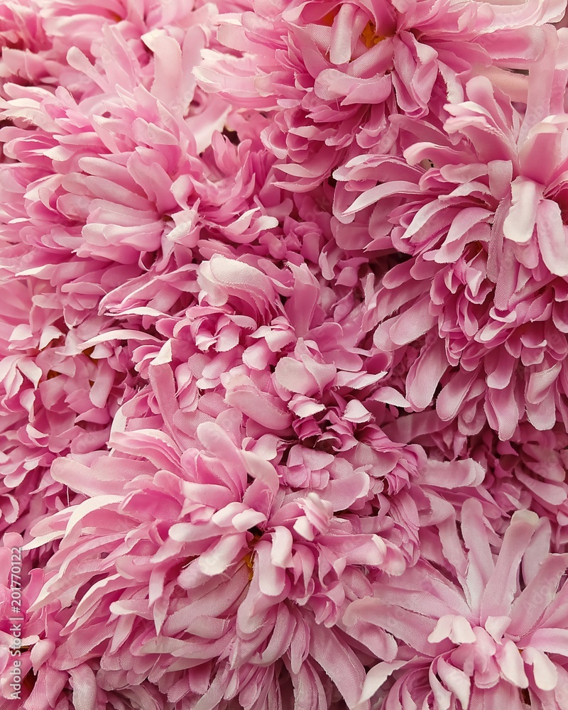 Background of Artificial Pink Chrysanthemum Flowers