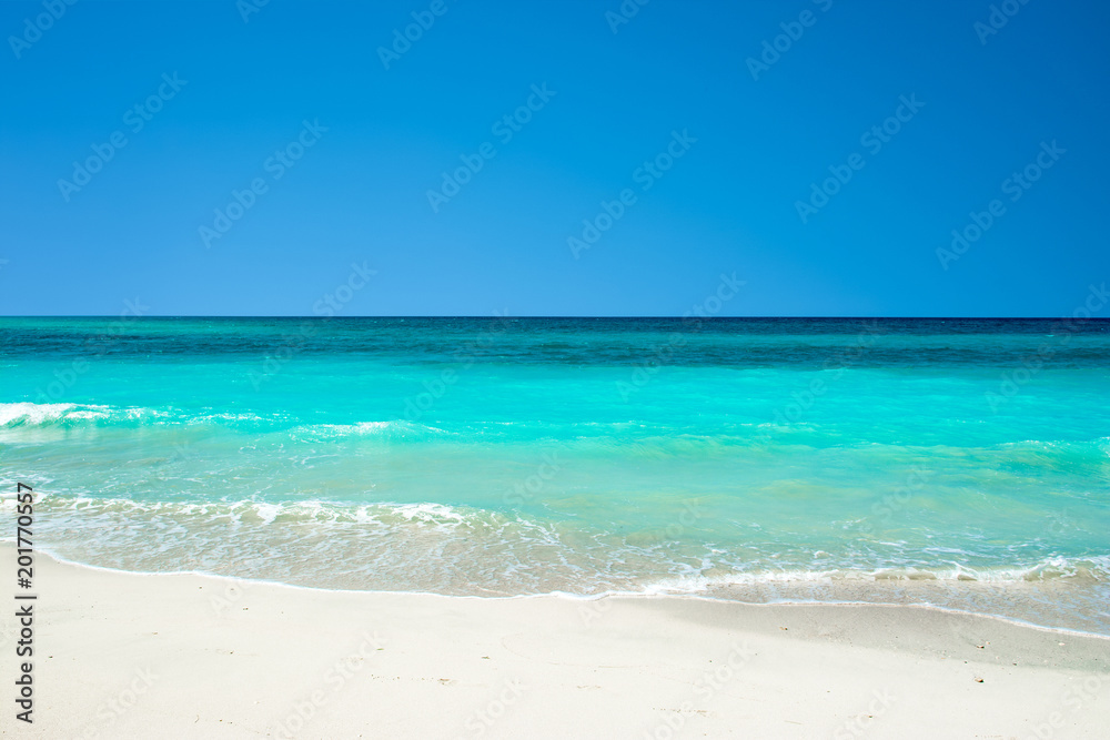 Landscape of sandy beach in Saadiyat island Landscape of sandy beach in Saadiyat island