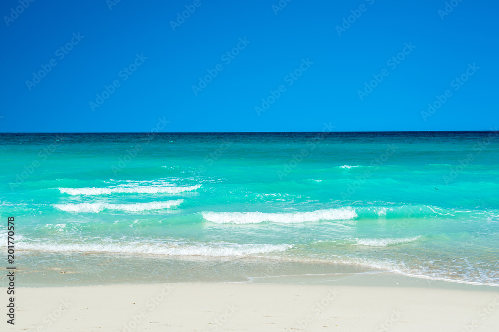 Landscape of sandy beach in Saadiyat island