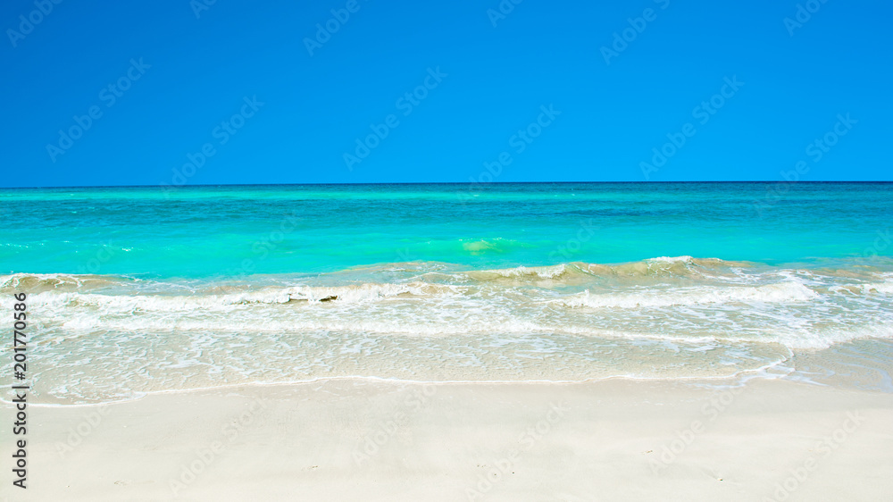 Landscape of sandy beach in Saadiyat island