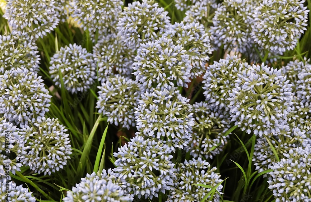 Blue Artificial Giant Onion Flower or Allium Giganteum Blue Artificial Giant Onion Flower or Allium Giganteum