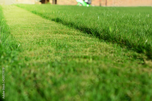 Fototapeta Naklejka Na Ścianę i Meble -  mowing the lawn. A perspective of green grass cut strip
