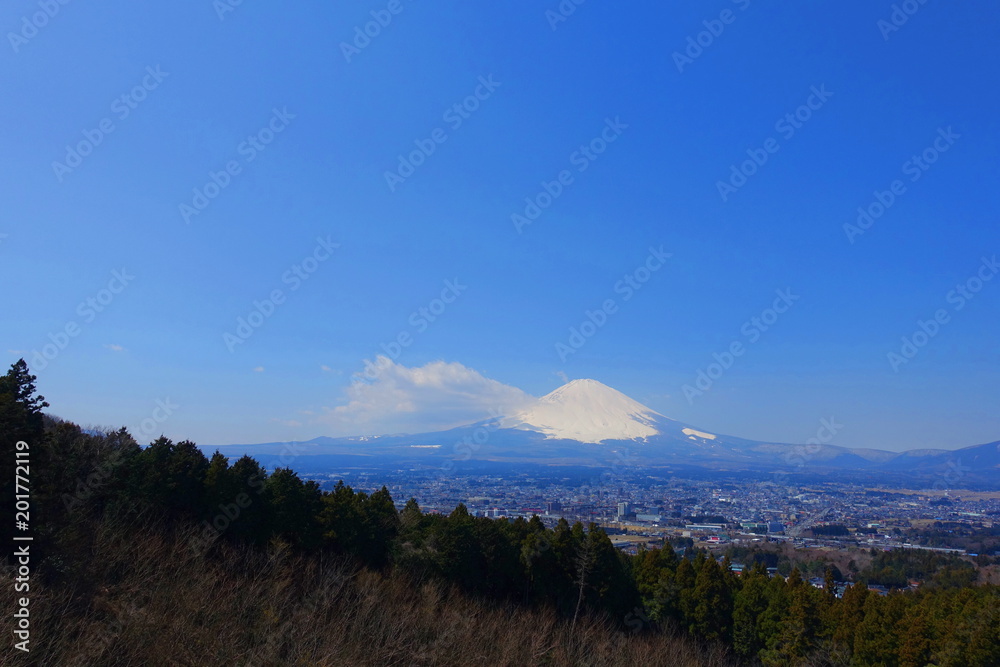 Obraz premium Fuji san in spring 