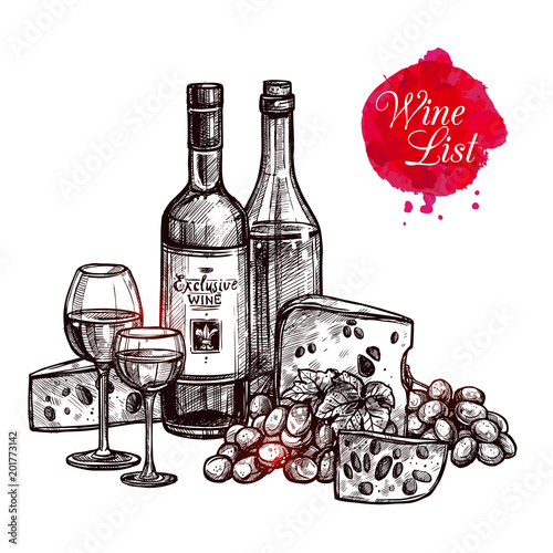 Wine Vintage Still Life. Hand Drawn Detailed Illustration