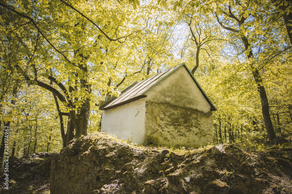 little house in forest little house in forest