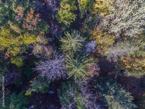 Fall Foliage from a Drone © LindaDuffee