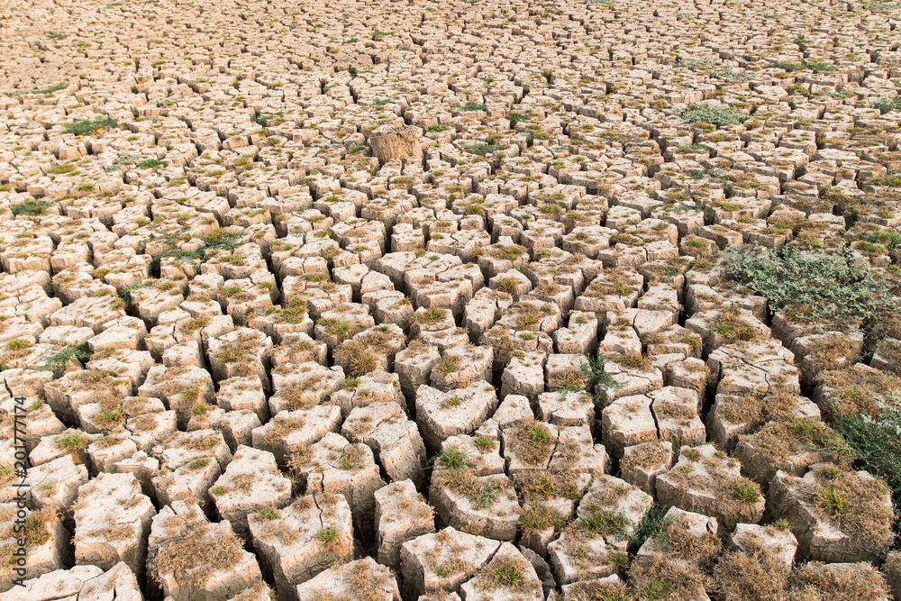 Cracked dry land without water.Abstract background. Cracked dry land without water.Abstract background.