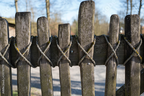 beautiful wood fence in nature