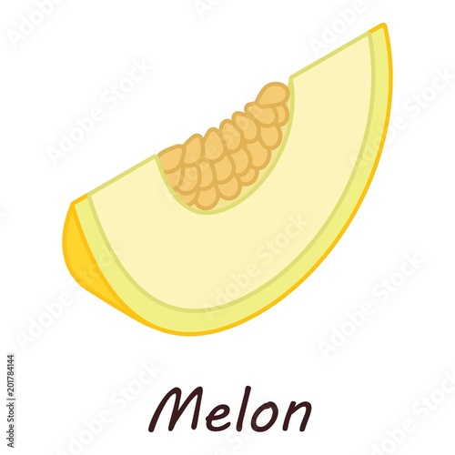 Melon icon. Isometric illustration of melon vector icon for web