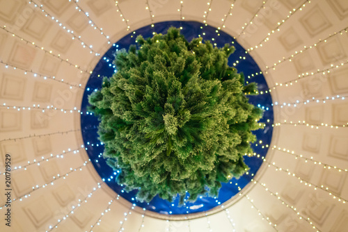 Christmas tree hanging upside down on the ceiling photo