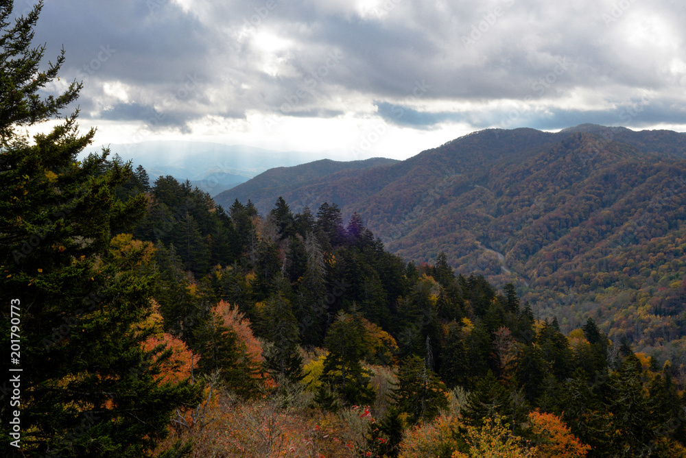Fall Colors in  the Smoky Mountains